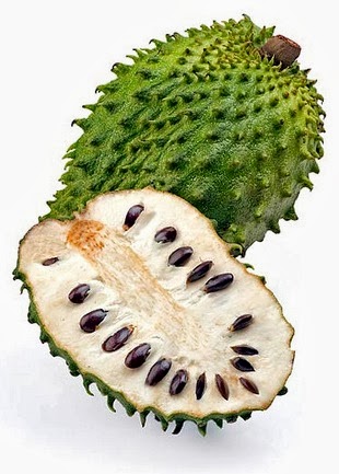antitumorali prostata naturali per year